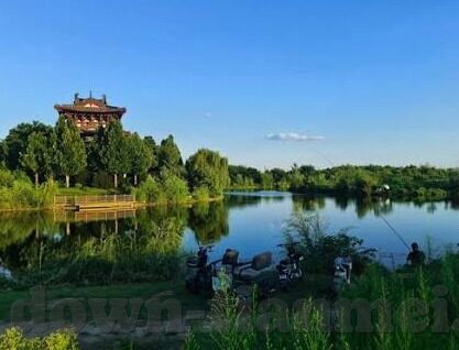 麻豆传媒有限公司视频-麻豆传媒有限公司品牌的视频，互联网文化与艺术创作的交集