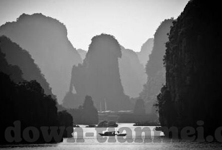 糖心app苹果测试版-探索糖心APP苹果测试版，用户体验与功能创新的边界