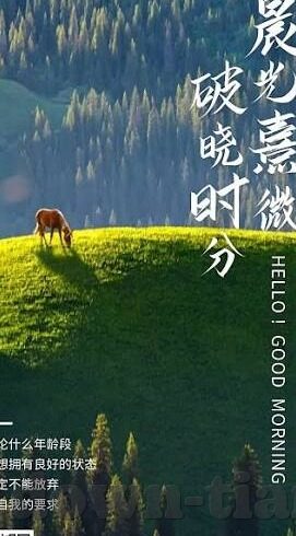 糖心短视频vlog-梦幻般的糖心短视频vlog，探索移动互联时代的生活艺术